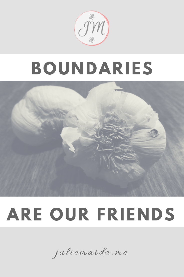 Julie Maida - Boundaries Are Our Friends